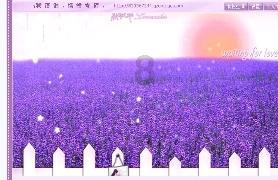 广东湛江外贸进出口连续三年保持两位数增长