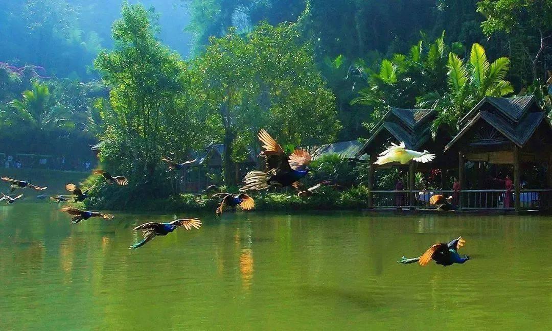 西方大卡车找字母