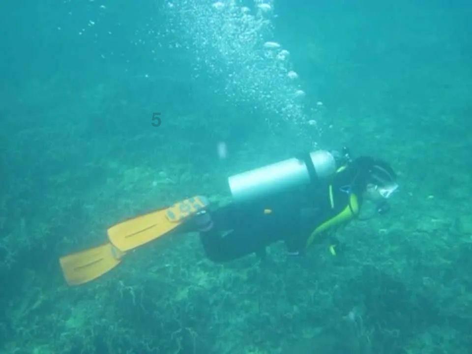 逃离游戏研究中心