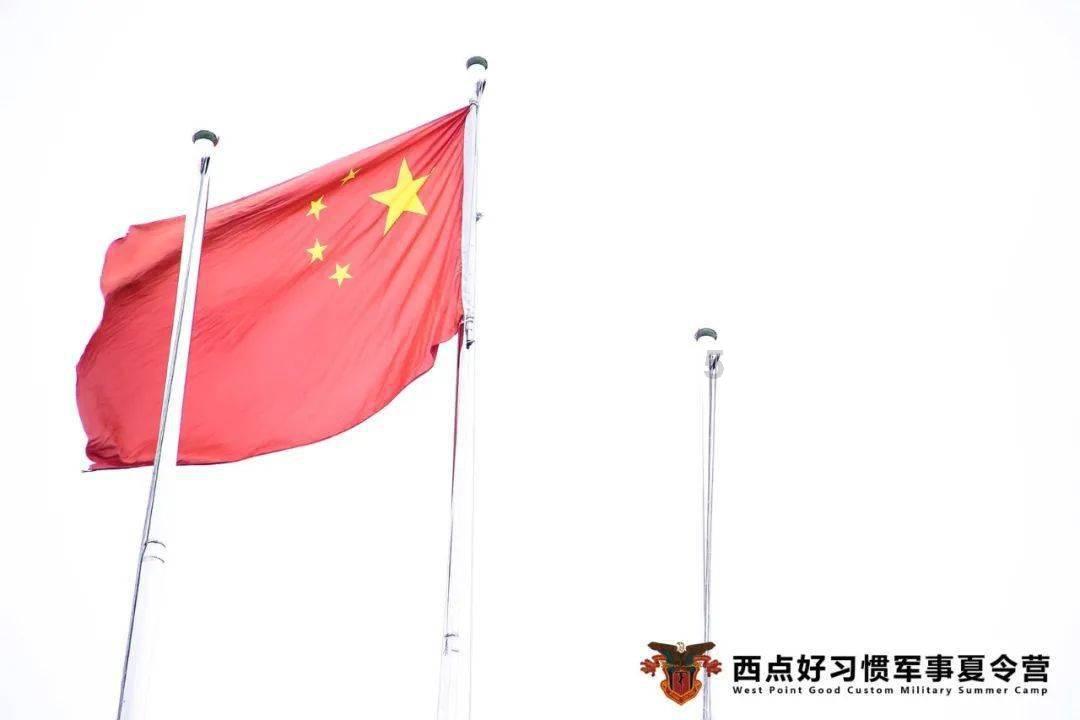 东川区邀乡贤人才共叙乡情 共话发展