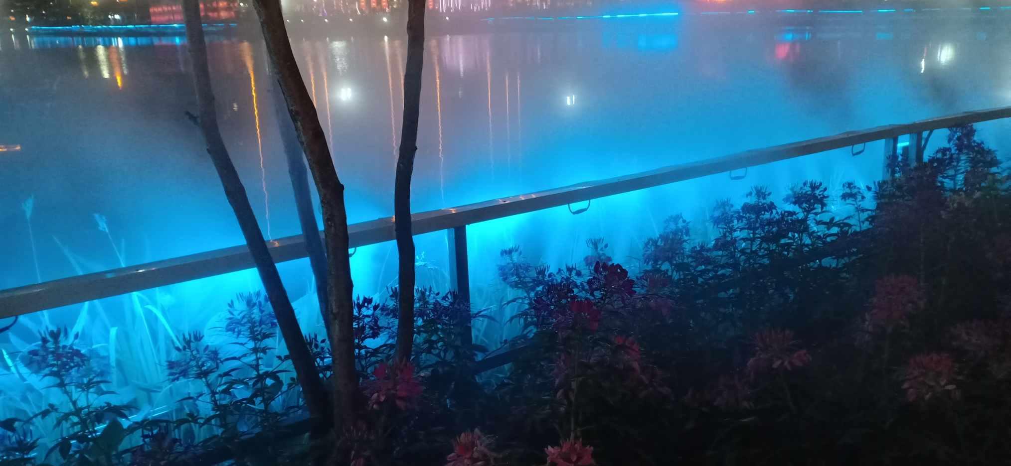 濒临退市，史上最贵ST股*ST左江一字跌停！融资资金逆市加仓41股，这类股最抗跌（附股）
